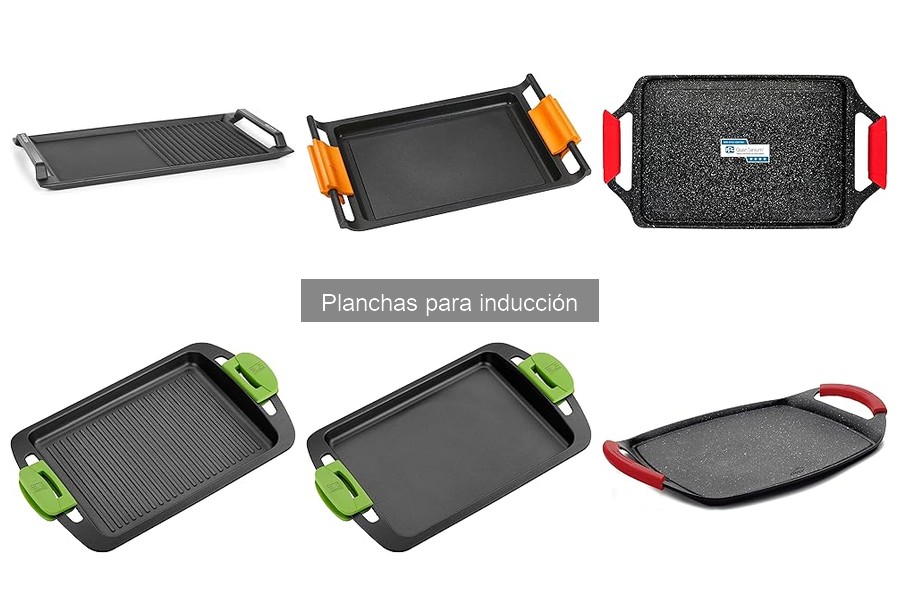 Comparativa: Planchas de Inducción Multipropósito vs Especiales