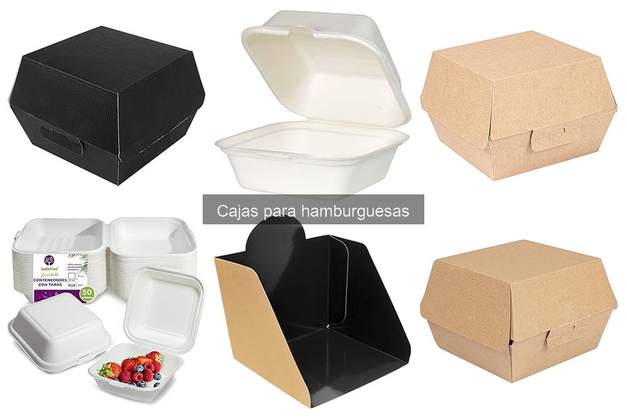 ¿Dónde comprar cajas para hamburguesas? Opciones y precios
