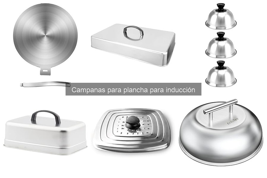 Guía para Elegir una Campana de Inducción Ideal