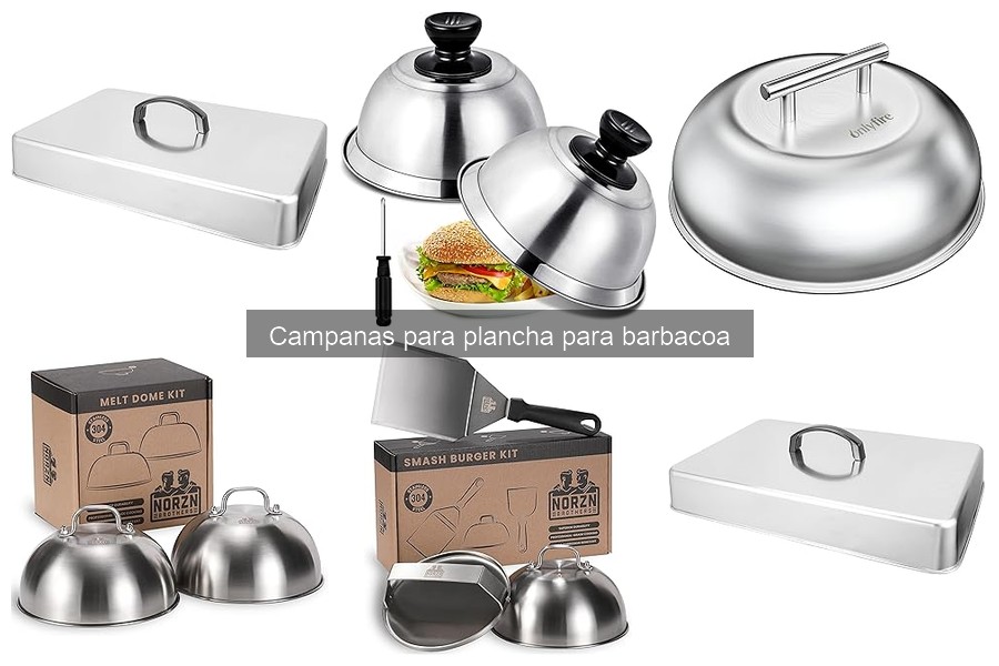 Mejores campanas para planchas de barbacoa según usuarios