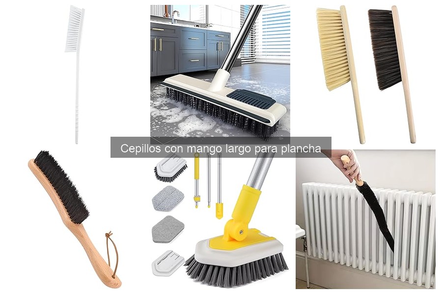 Opiniones de cepillos con mango largo: Reseñas de usuarios
