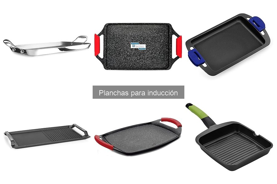 Recetas deliciosas para planchas de inducción en casa