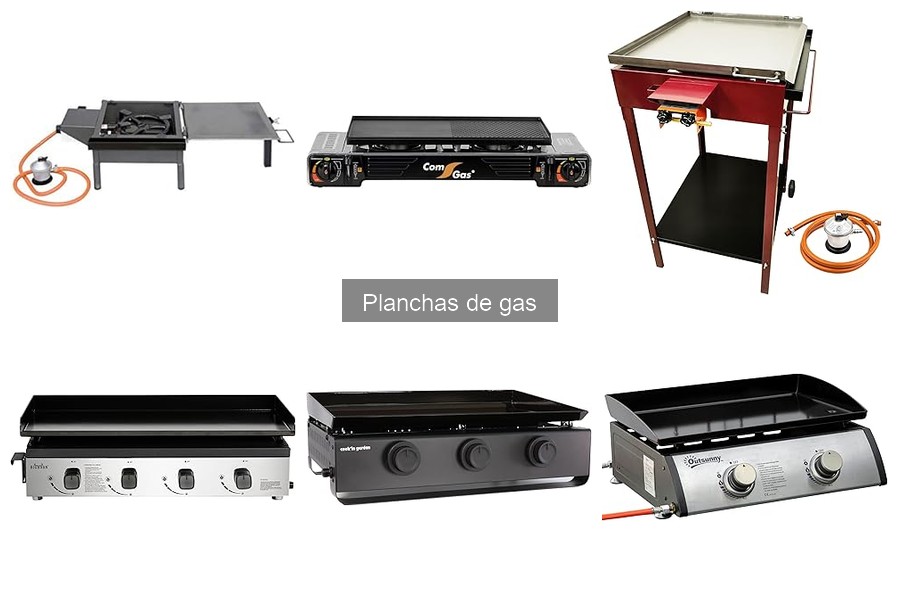 Recetas Deliciosas para Tu Plancha de Gas en Casa