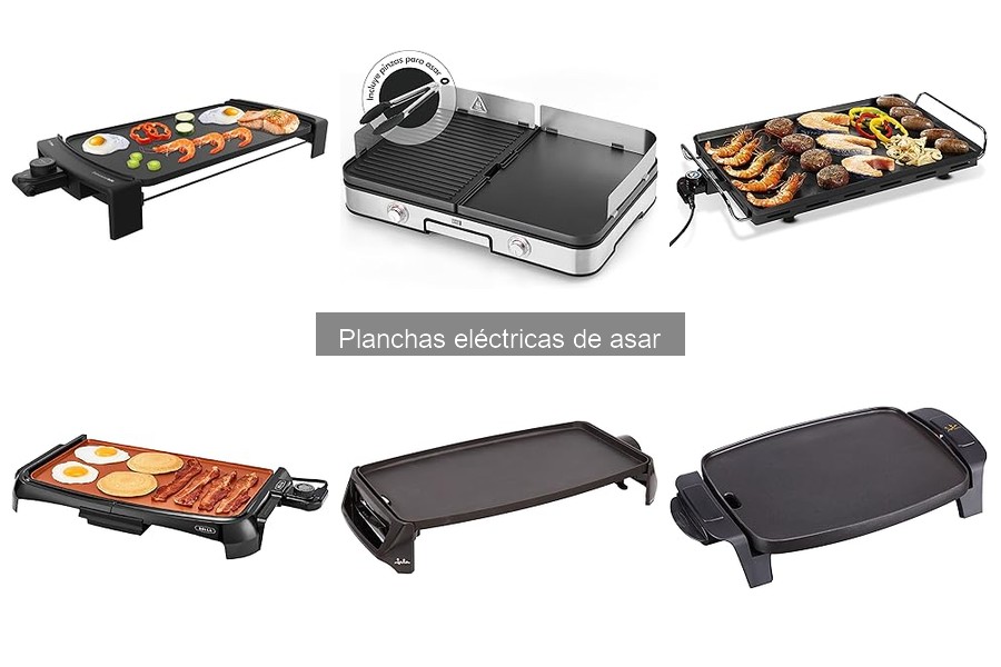 Recetas fáciles para planchas eléctricas de asar