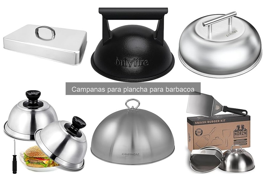 Tipos de campanas para plancha de barbacoa: Guía completa